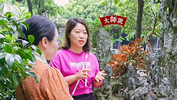 佛山清晖园半日游【趣味精讲1小时+可选上下午场】