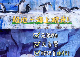 青岛极地海洋公园+青岛海上观光一日游【含极地通馆票·游船出海】