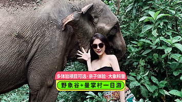 【拼小团】野象谷+曼掌村一日游【2-6人小团+亲子互动+近距离接触大象+可选造纸、制陶等多项体验】