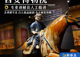 西安博物院深度研学【人工讲解+小雁塔讲解+精选讲师讲解2小时】