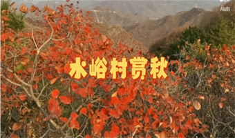 北京水峪村一日游【纯玩/独立包车/京郊赏秋美景/五环内上门接送】