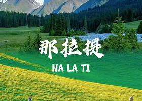 三日游【那拉提景区+库尔德宁景区+赛里木湖景区三日游【纯玩惬意小车团】】