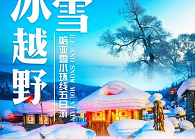 哈尔滨+亚布力滑雪+雪乡5日私家团丨一家一团，私密游玩！0购物真纯玩，含接送机+旅拍+马拉爬犁+雪地摩托