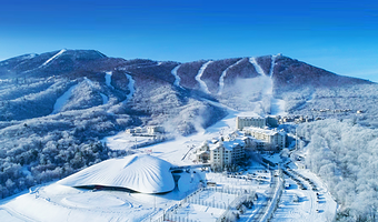 中国雪乡+亚布力滑雪旅游度假区+横道河子镇三日游【8人小团丨一价全含丨纯玩无购物丨亚布力西站起止高铁团】