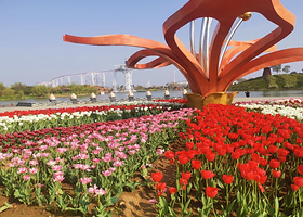 仙桃梦里水乡一日游【孝感金卉庄园/十八潭/仙桃梦里水乡/沔阳小镇一日游可选（不含景点门票）可定制包车游】