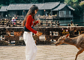 【私家团】普洱太阳河森林公园+普洱茶马古道一日游丨上门接送丨含门票电瓶车丨行程自由