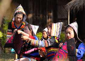 野象谷+基诺山寨一日游【含往返车+门票+0购物品质团】