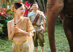 【私家团】西双版纳中科植物园+野象谷一日游【纯玩品质 优选司机★邂逅谷沟谷雨林★探秘植物王国】