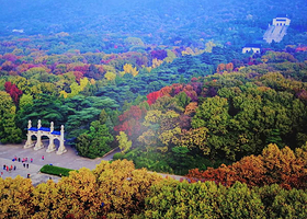 南京中山陵景区+音乐台+美龄宫+明孝陵一日游【含门票+无线耳麦+讲解 赠送景交 28人小团】