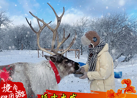 长白山仙峰雪岭景区+长白山魔界漂流+长白山北坡景区二日游【延吉/长白山出发2天1晚雪岭+雾凇漂流+长白山天池】