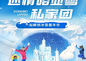 哈尔滨+亚布力+雪乡三日私家团丨纯玩0购物，一家一团不拼人丨赠送无人机航拍+激情滑雪3小时