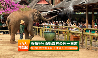 野象谷+西双版纳原始森林公园一日游【18人精品小团+纯玩0购物+偶偶野象+孔雀放飞+金牌导游服务和讲解】