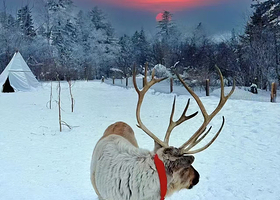 长白山仙峰雪岭景区+老里克湖一日游【多套餐可选择 延吉 二道 • 上门接送】