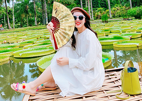 【拼小团】西双版纳热带植物园+傣族园一日游  市区接送+品质纯玩+行程自由副本