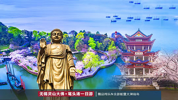 无锡灵山大佛+无锡市太湖鼋头渚风景区一日游【灵山梵宫*游船 邂逅红嘴鸥 含门票】