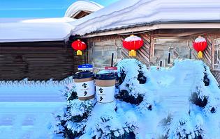 哈尔滨大秃顶子山+亚雪驿站十里画廊+中国雪乡一日游【当季热卖/可赏夜景/雪地摩托/纯玩无购物/赠送意外险】