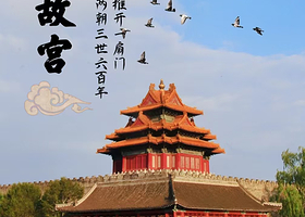 故宫博物院+人工导游深度讲解3小时+包含无线耳麦