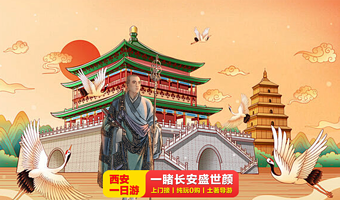 西安城墙+钟鼓楼广场+大慈恩寺+大雁塔+回民街半日游【二环内上门接丨一价全含丨纯玩无购物丨玩转市区景点】