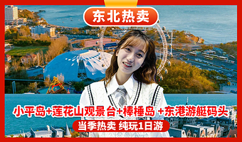 星海湾跨海大桥+莲花山观景台+大连俄罗斯风情街+棒棰岛+星海广场一日游【【大连出发—深度游无购物】】