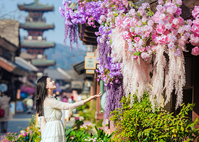 无锡禅意小镇·拈花湾一日游【拈花灯影&赏花 优选纯玩含门票】