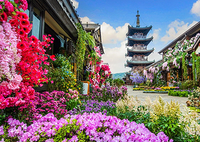 无锡禅意小镇·拈花湾+无锡市太湖鼋头渚风景区一日游【邂逅红嘴鸥 仙岛游船 拈花灯影】