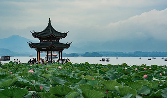 西湖风景名胜区+雷峰塔+西湖游船+花港观鱼+长桥公园+灵隐寺+飞来峰一日游【精品游·市区内上门接】