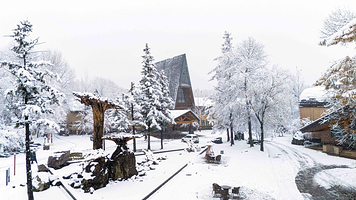 【酒店套餐】长白山蓝景国际生态交流中心+双人早餐+双人温泉+双人滑雪+高铁站接送+VIP通道