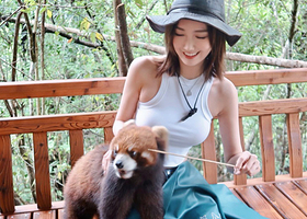 【私家团】犀牛坪景区+茶马古道一日游【小熊猫基地★重走茶马古道★彩虹索道★鱼鹰抓鱼】