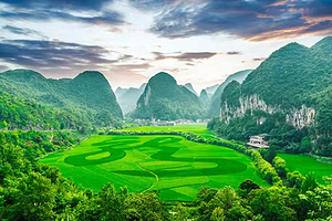 【私家团/大团】巴马百鸟岩+百魔洞+长寿村一日游~纯玩无购物/往返高速/舒享旅途/畅游长寿之乡/喀斯特山水奇观