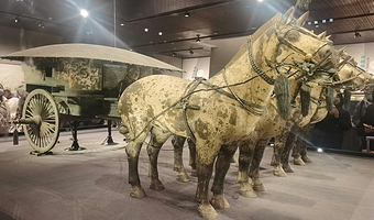 秦始皇帝陵博物院(兵马俑)+华清宫一日游【可选千古情/驼铃传奇/16人小团/纯玩0购物】
