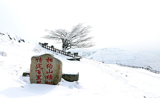宜昌百里荒滑雪场一日游【百里荒门票+百里荒滑雪门票+往返接送+保险】