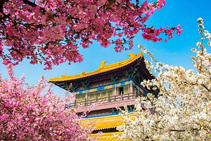 无锡三国城+水浒城+鼋头渚+太湖仙岛一日游【花漾无锡&私家团|臻享包车|亲子游|坐船赏湖泊风光】