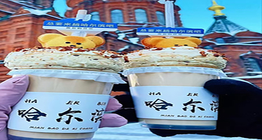 【可约元旦】哈尔滨冰雪大世界一日游【含门票可选VIP+二环内上门接】