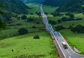 武隆天生三桥+仙女山国家森林公园一日游【独立包车、一单一团、真纯玩游、上门接送】