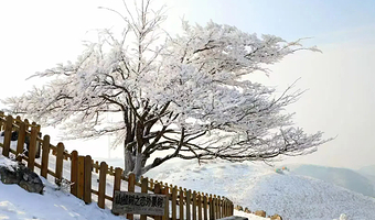 宜昌百里荒滑雪场一日游【含门票+基础雪具+滑雪帽+手套+保险】