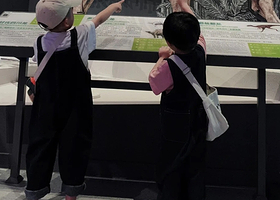 成都自然博物馆·凤凰说·2H深度讲解·专业讲师带娃涨知识