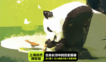 【拼小团】上海自然博物馆人工讲解1.5-3小时+10人精致团+赠耳麦+协助进馆加讲解OR单讲解套餐任选·凤凰说