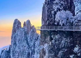 郴州东江湖旅游区+高椅岭旅游区+莽山五指峰景区+白廊景区三日游