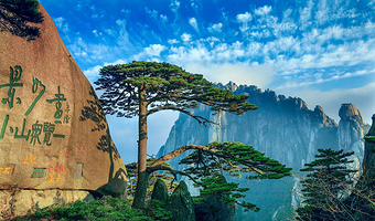 黄山风景区+宏村+西递二日游【上门接送•甄选优质导游•纯玩无购物•含1晚品质酒店•打卡迎客松•徽州画里乡村】