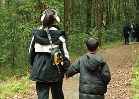 高黎贡山自然公园一日游【五道溪徒步 硝塘坝 包车独立出行 】