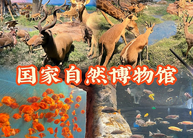 国家自然博物馆一日游【可选独立团·含票·导游精讲2.6h·了解动物的演化】