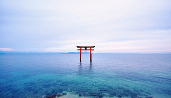 大阪琵琶湖观景台+白须神社+满月寺+近江八幡一日游【自营商品·天天发班】