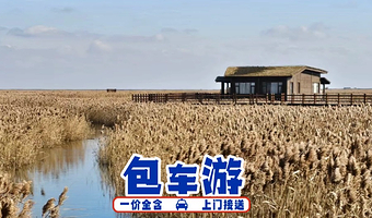 【一价全含更省心，0自费更放心】上海东滩候鸟保护区+东滩湿地公园+东平国家森林公园一日游