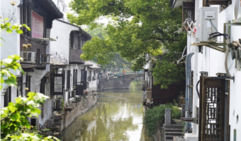 上海嘉北郊野公园+嘉定州桥景区一日游【【一单一团 门票用车一价全含 专属司机轻松省心 可加订导游】】