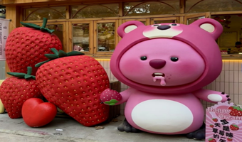 大连4日游独立团~金石滩+棒棰岛+森林动物园（接送机/站+帆船出海喂海鸥+渔船出海垂钓·捞海带+3晚酒店）