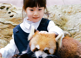 【私家团】普洱国家公园犀牛坪一日游丨上门接送丨含门票电瓶车丨纯玩无购物