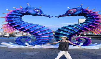 大连4日游独立团.旅顺口+发现王国+森林动物园（接送机/站+黄渤海+战争主战场+潜艇巡航模拟体验+3晚酒店）