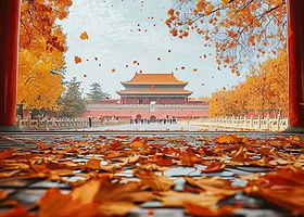 北京故宫精讲半日游 可选8-9-10-11-12-1点场次/独立团·导游3h深度精讲 赠无限耳麦·当日可订