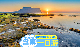 济州岛牛岛+涉地可支+月汀里海边+咸德海水浴场+城山日出峰+汉拿山+柱状节理带一日游【【含门票】济州岛一日游】