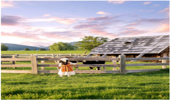 大连5日游独立团.金石滩+旅顺口+发现王国+老虎滩海洋公园（接送机站+快艇登岛+航母舰岛+4晚酒店）